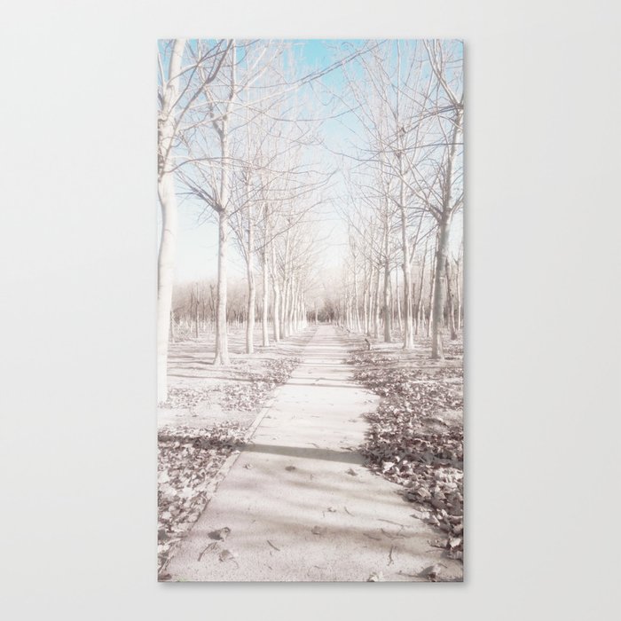 A road in winter Canvas Print