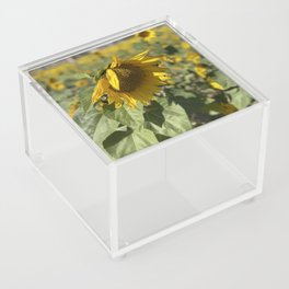 Autumn lake Acrylic Box