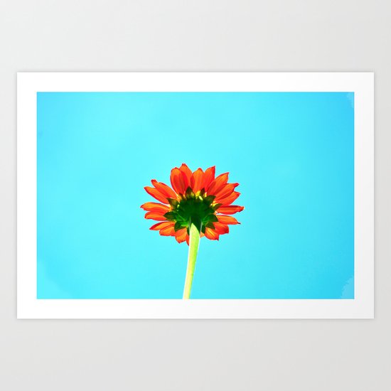 Flower orange 6 Art Print