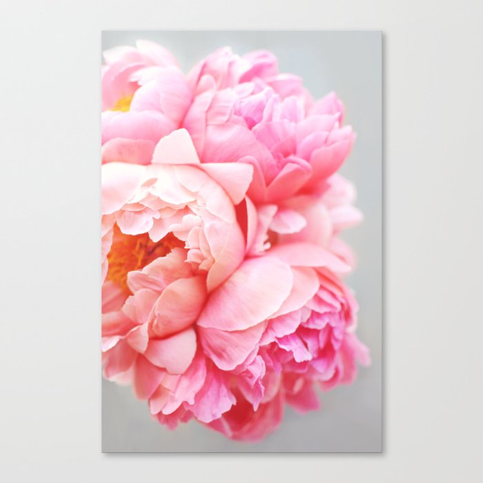 Peonies Forever Canvas Print