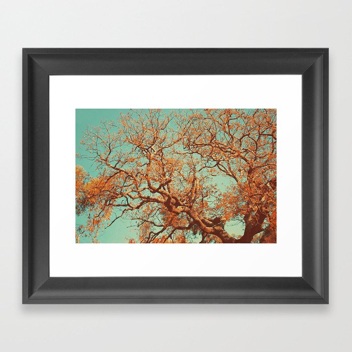 Orange. Framed Art Print