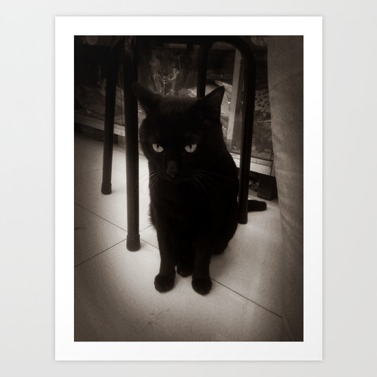 Black Kitty Art Print