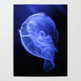 Deep Blue Dreaming Poster