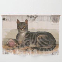 Anatomy of the house cat Wall Hanging