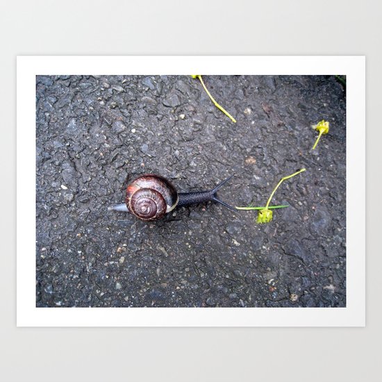 Un caracol Art Print