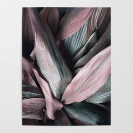 Pink Plant Leaves Poster