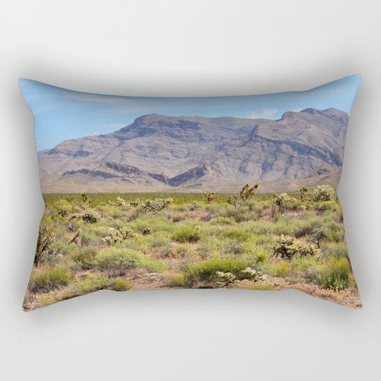 Painted Desert - I Rectangular Pillow