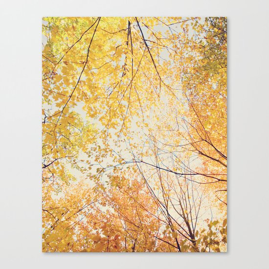 Autumn Trees Canvas Print