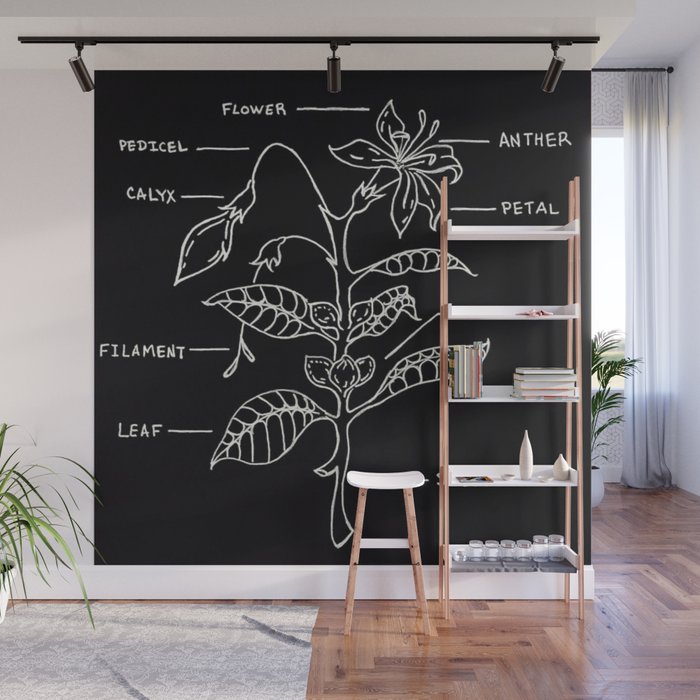 Coffee Plant Diagram Illustration Wall Mural