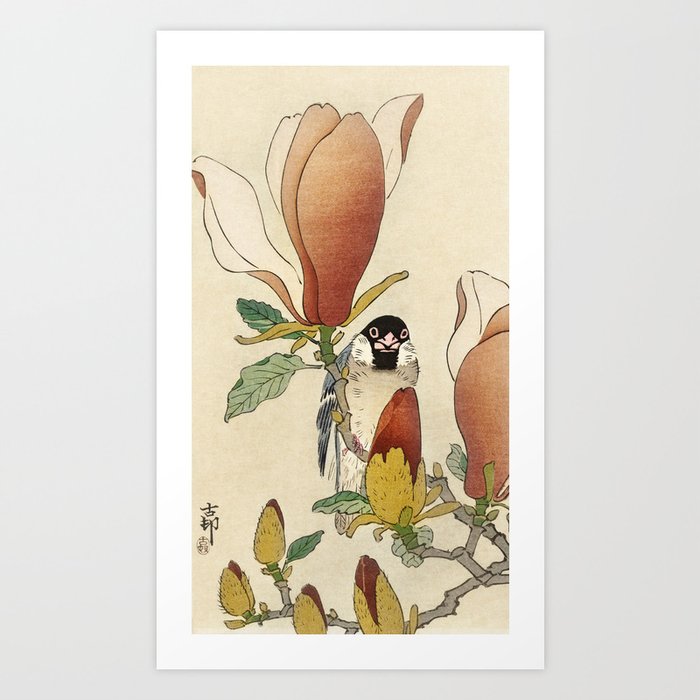 Sparrow on blooming magnolia branch by Ohara Koson Art Print