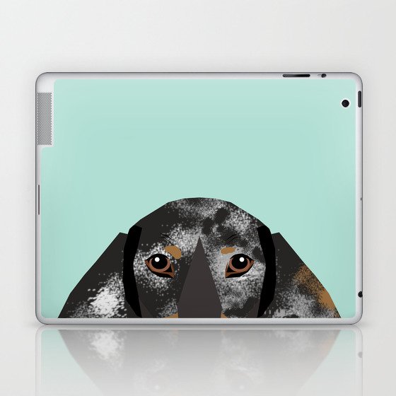 Dog must shop have accessories