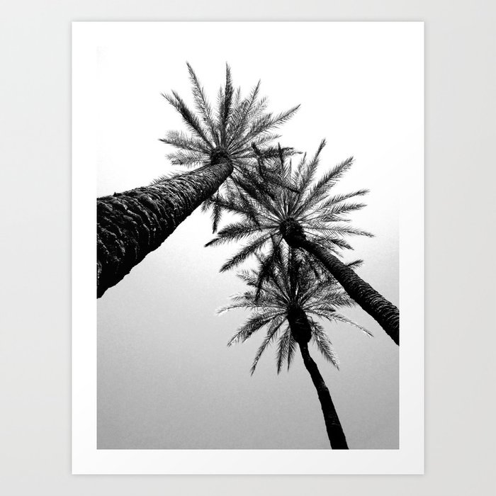 Three Palm Trees Art Print