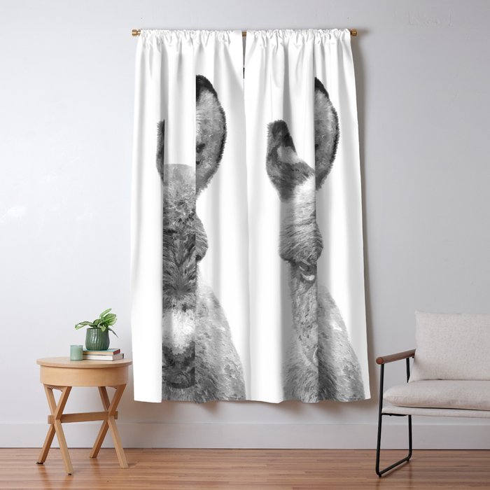 Blackout Curtain