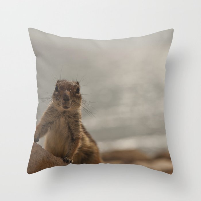 Cute Chipmunk By The Beach Nautical Fun Animal Throw Pillow By