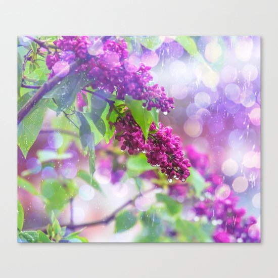 Spring rain Canvas Print