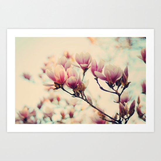 Magnolias Art Print