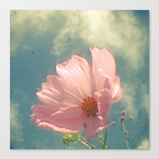 Leading the Way Canvas Print