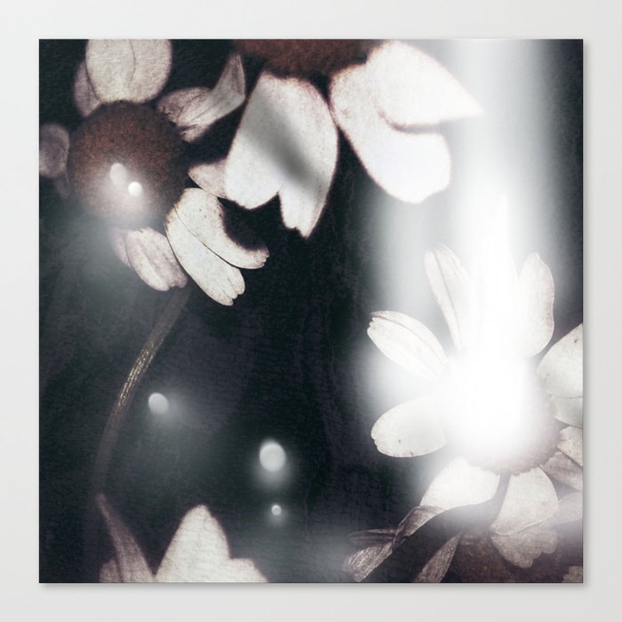 Chamomile Flower (Photographic Art Print) Canvas Print