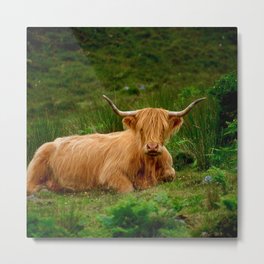 Scottish Highland Cow | Scottish Cattle | Cute Cow | Scottish Cow | Cute Cattle 09 Metal Print