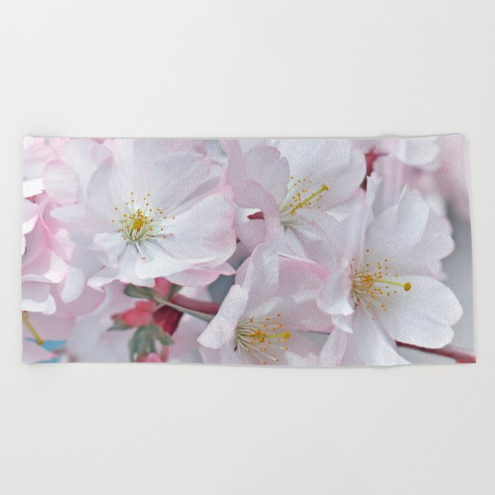 Cherry Blossoms 0212 Beach Towel