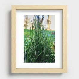 Grass is Magick Recessed Framed Print
