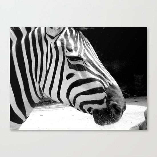 b&w zebra Canvas Print