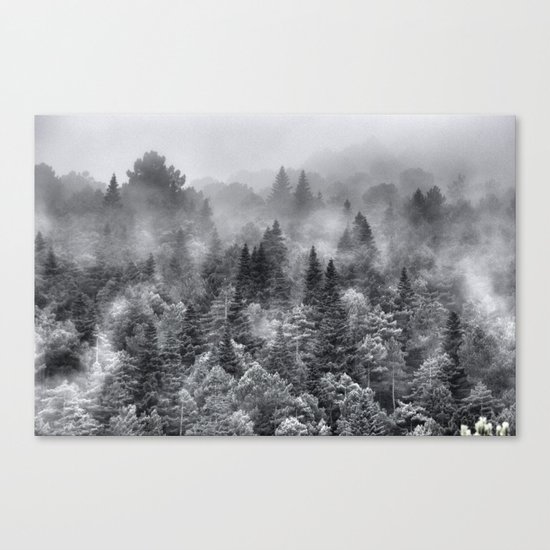 Foggy night Canvas Print