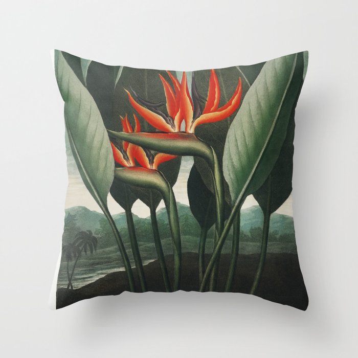 The Queen Temple of Flora x Bird of Paradise Vintage Painting Throw Pillow