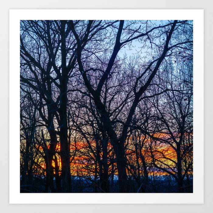 Sunset in the forest Art Print