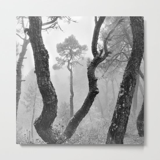 "Looking for the sky..." Follow your dreams Metal Print