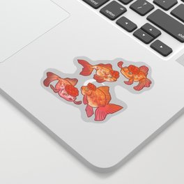 Is your goldfish smarter than a 5th grader? Sticker