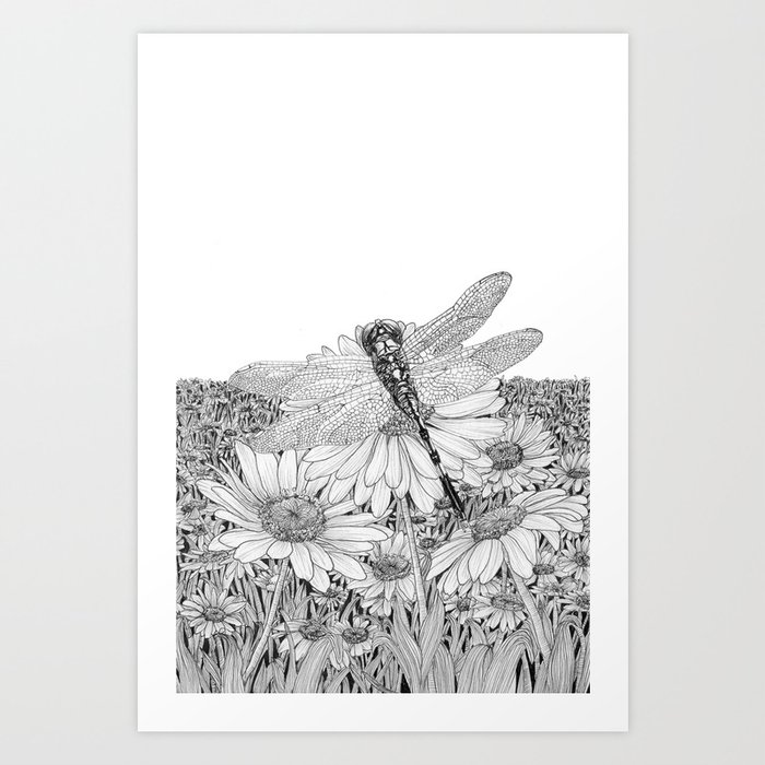 Daisy and Dragonfly Art Print