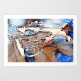 frozen oak leaves in blue Art Print | Frozen, Photo, Winter, Ice, Digital, Blue, Brown, Bubbles, Leaves 