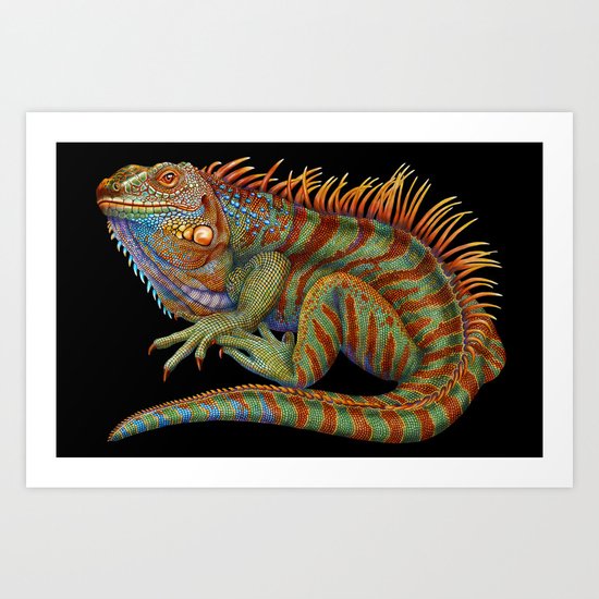 Iguana 2 Art Print
