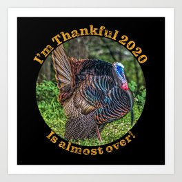 Thanksgiving Day Turkey is Thankful this year is almost over. Art Print