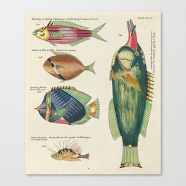 fish by Louis Renard Canvas Print
