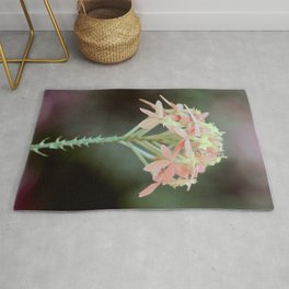 Green Mood Soft Pastel Orchid  Area & Throw Rug