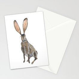 Rabbit Stationery Card