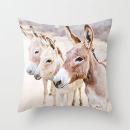 Three Donkeys in Baja, Mexico Throw Pillow