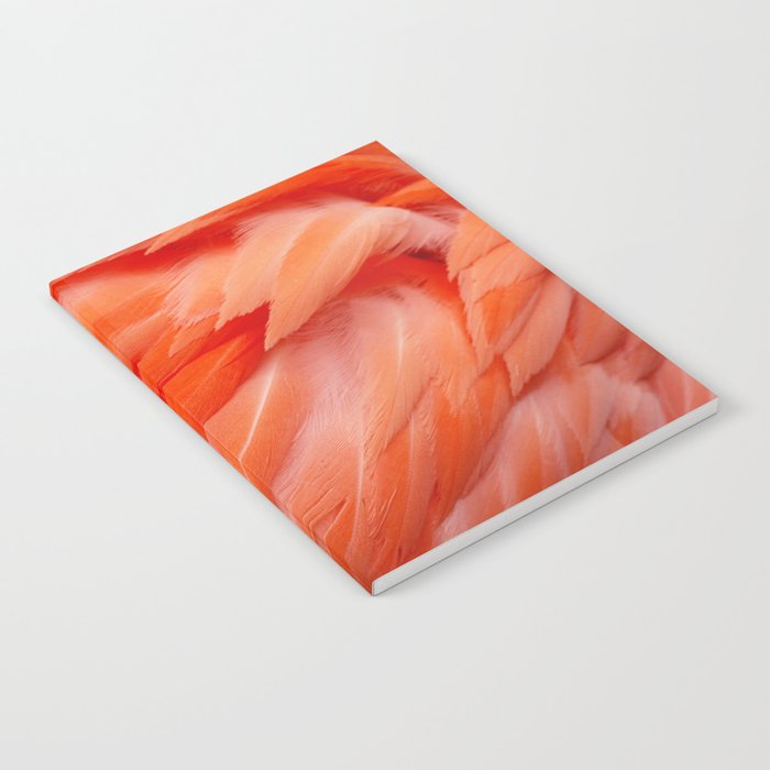 Flamingo Feathers Notebook