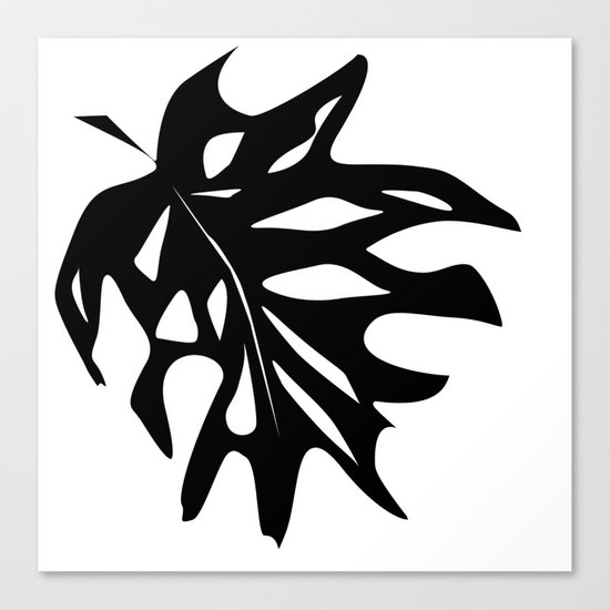 Black leaf monstera on white background . Canvas Print