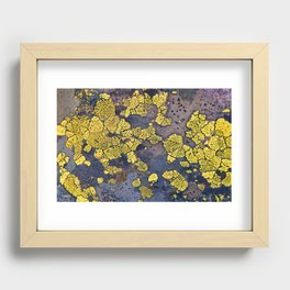 Lichen Abstract Recessed Framed Print