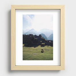 Llama Machu Picchu Recessed Framed Print