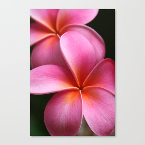 Pua Lei Aloha Cherished Blossom Pink Tropical Plumeria Hina Ma Lai Lena O Hawaii Canvas Print