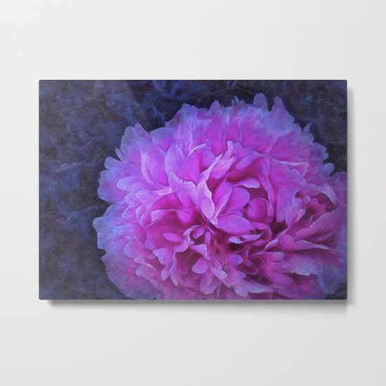 Pink peony Metal Print