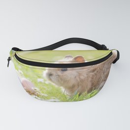 Easter Bunny Fanny Pack