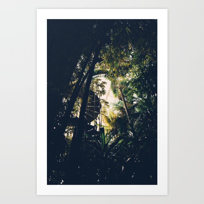 Tropical Greenhouse Staircase Art Print