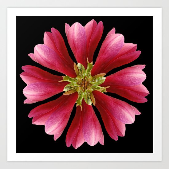 Magnolie Art Print