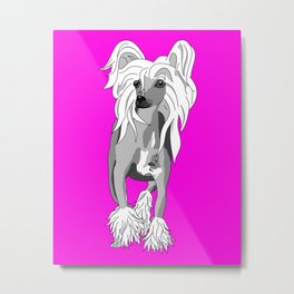 Sassy Chinese Crested Metal Print | Drawing, Blackandwhite, Chinese, Hotpink, Pink, Dog, Neon, Strut, Furless, Puppy 