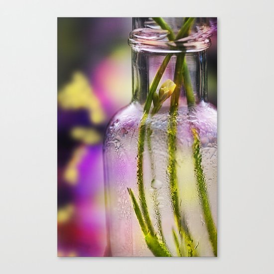 Bottle Canvas Print